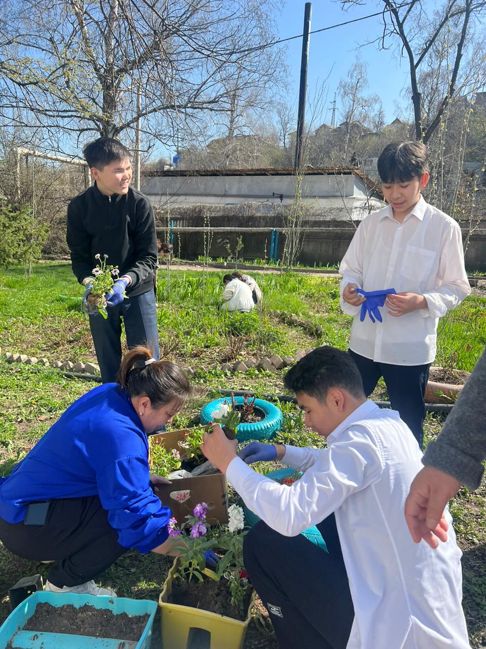 "Мектеп ауласын абаттандыру" акциясы